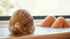 Can an Apple Cider Vinegar Bath Get Rid of Dandruff?