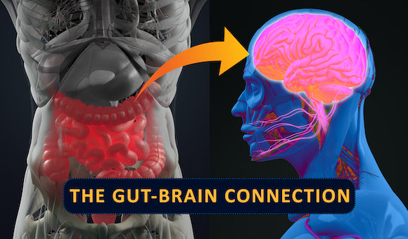 Gut-Brain Axis - How Your Gut is Affecting Your Mood and Mental Health