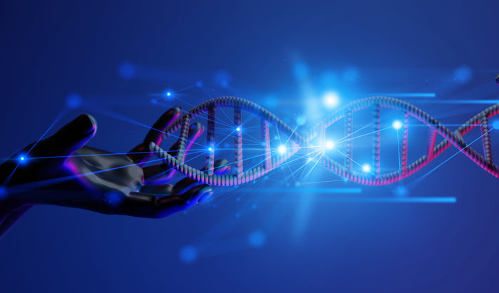 Beyond Genetics: The Key Lifestyle Factors That Influence Cancer Risk