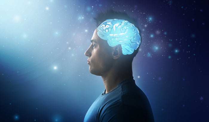 Collagen, Aging, and Longevity: A Daily Ritual for Vibrant Aging