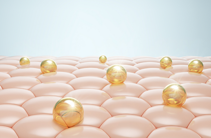 Collagen for Longevity: Why Your Body Needs More Than Just Protein as You Age