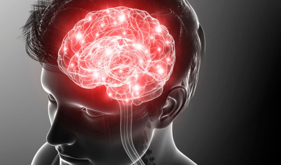 Detoxing Your Brain: The Key to Optimal Brain Function and Performance