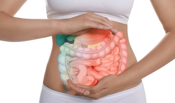 Heal Your Gut Naturally: 7 Daily Habits to Support a Healthy Microbiome