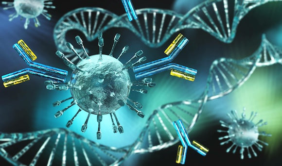 How Blood Sugar Affects Your Immune System