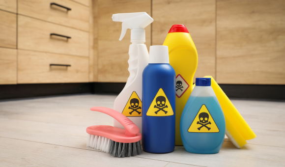 How Everyday Toxins Disrupt Hormones and Immunity