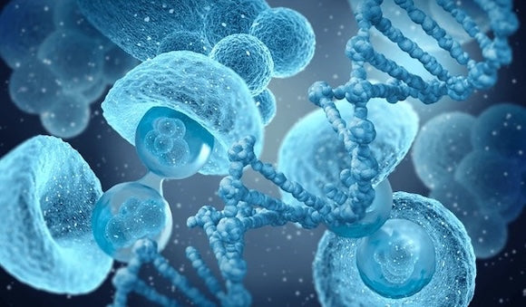 The Link Between Cell Damage and Common Health Problems