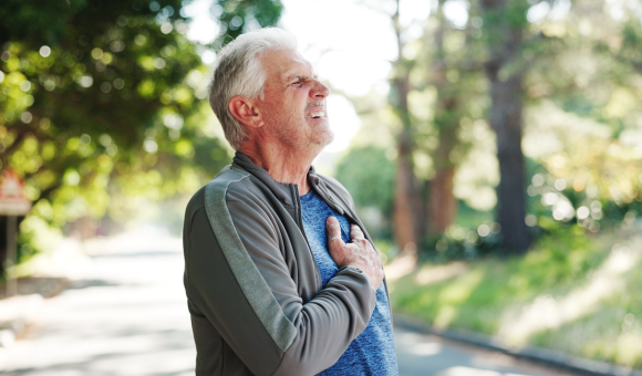 Oxidative Stress and Cardiovascular Aging: What You Need to Know