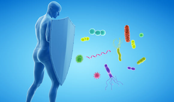 Winter Wellness: How to Support your Immune System Naturally