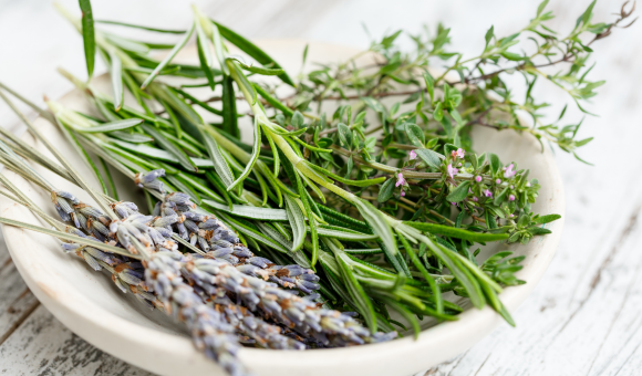 Boost Your Health: Discover the Top Herbs for Balanced Blood Sugar