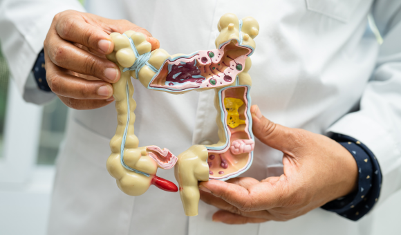 The Ultimate Guide to Healing Your Gut and Reversing IBS Naturally