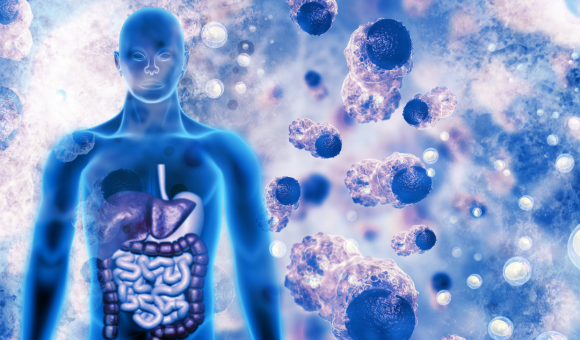 Unlocking the Power of Autophagy: The Top Foods and Herbs to Include in Your Diet