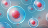 Benefits of True Cellular Detox | What is True Cellular Detox?