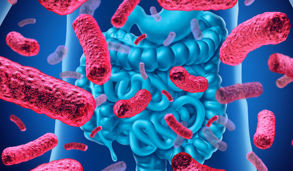 Top Signs You Should Be Taking a Probiotic