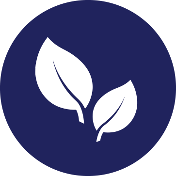 Anti-Aging Supplements