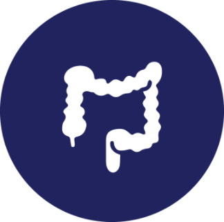 Gut Health Supplements