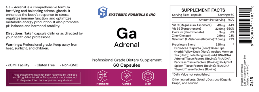 GA - Adrenal - NuVision Health Center