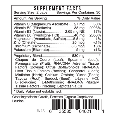 Systemic Formulas ARTA - Jointez - NuVision Health Center