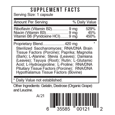 Systemic Formulas B - Brain - NuVision Health Center