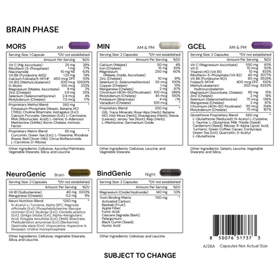 True Brain Supplement True Cellular Detox Brain Phase | Brain Detox Supplements - NuVision ...
