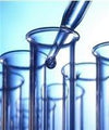 Health History and Report of Findings - NuVision Health Center